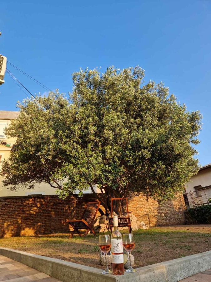 Apartmani Studio Apartmani Senjska Maslina Senj  Exterior foto