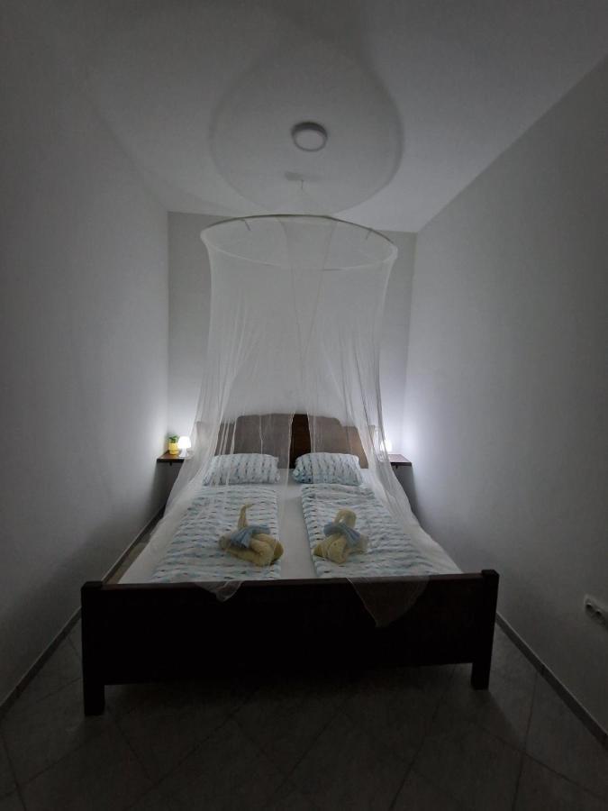 Apartmani Studio Apartmani Senjska Maslina Senj  Exterior foto
